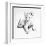 Lion-Vivien Rhyan-Framed Art Print