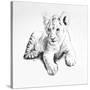 Lion-Vivien Rhyan-Stretched Canvas