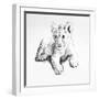 Lion-Vivien Rhyan-Framed Premium Giclee Print