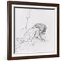 Lion-Gustave Moreau-Framed Giclee Print