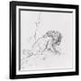 Lion-Gustave Moreau-Framed Giclee Print