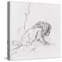 Lion-Gustave Moreau-Stretched Canvas