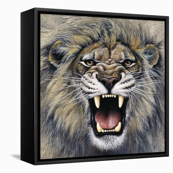 Lion-Harro Maass-Framed Stretched Canvas