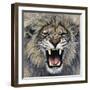 Lion-Harro Maass-Framed Giclee Print