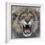 Lion-Harro Maass-Framed Giclee Print