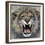 Lion-Harro Maass-Framed Giclee Print