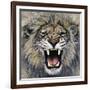 Lion-Harro Maass-Framed Giclee Print