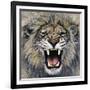 Lion-Harro Maass-Framed Giclee Print