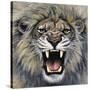 Lion-Harro Maass-Stretched Canvas