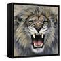 Lion-Harro Maass-Framed Stretched Canvas