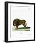 Lion-null-Framed Giclee Print