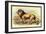 Lion-Sir William Jardine-Framed Premium Giclee Print