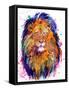 Lion-Emma Catherine Debs-Framed Stretched Canvas