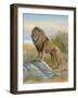 Lion-Ron Jenkins-Framed Art Print