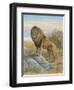 Lion-Ron Jenkins-Framed Art Print