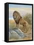 Lion-Ron Jenkins-Framed Stretched Canvas