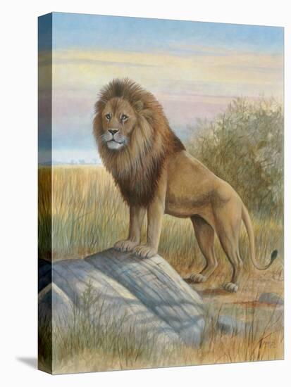 Lion-Ron Jenkins-Stretched Canvas