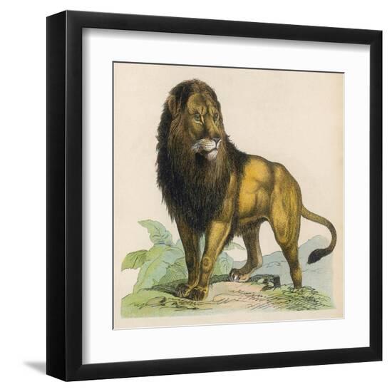 Art Print, , large