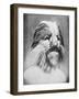 Lionel the Lion-Faced Man-null-Framed Art Print