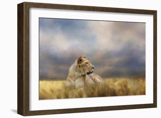 Lioness after the Storm-Jai Johnson-Framed Giclee Print