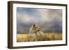 Lioness after the Storm-Jai Johnson-Framed Giclee Print