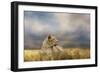 Lioness after the Storm-Jai Johnson-Framed Giclee Print