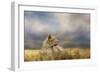 Lioness after the Storm-Jai Johnson-Framed Giclee Print