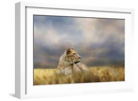 Lioness after the Storm-Jai Johnson-Framed Giclee Print