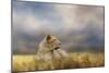 Lioness after the Storm-Jai Johnson-Mounted Giclee Print