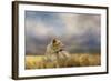 Lioness after the Storm-Jai Johnson-Framed Giclee Print