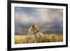 Lioness after the Storm-Jai Johnson-Framed Giclee Print