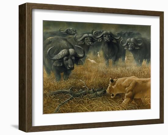 Lioness and Cape Buffalos-Harro Maass-Framed Giclee Print