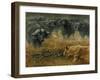 Lioness and Cape Buffalos-Harro Maass-Framed Giclee Print