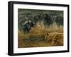 Lioness and Cape Buffalos-Harro Maass-Framed Giclee Print