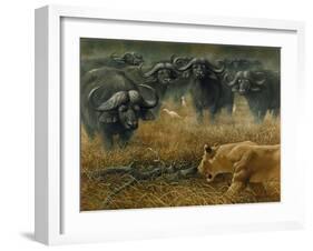 Lioness and Cape Buffalos-Harro Maass-Framed Giclee Print