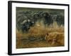Lioness and Cape Buffalos-Harro Maass-Framed Giclee Print