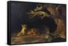 Lioness and Cave-George Stubbs-Framed Stretched Canvas