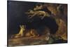 Lioness and Cave-George Stubbs-Stretched Canvas