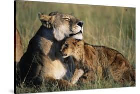 Lioness and Cub Resting on the Savanna-null-Stretched Canvas