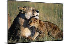 Lioness and Cub Resting on the Savanna-null-Mounted Photographic Print