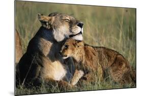 Lioness and Cub Resting on the Savanna-null-Mounted Photographic Print
