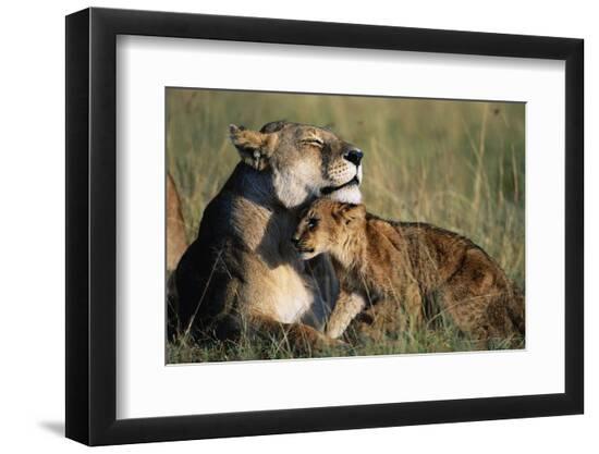 Premium Photographic Print, , large