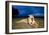 Lioness and Cub-null-Framed Photographic Print