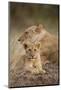 Lioness and Cub-Paul Souders-Mounted Photographic Print