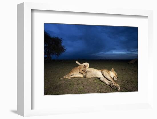 Lioness and Cub-Paul Souders-Framed Photographic Print