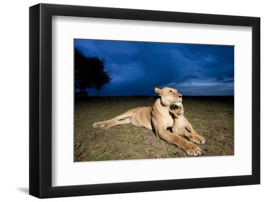 Photographic Print, , large