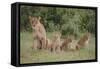 Lioness and Cubs in Grass-DLILLC-Framed Stretched Canvas