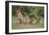 Lioness and Cubs in Grass-DLILLC-Framed Photographic Print