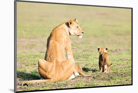 Lioness and cubs, Masai Mara, Kenya, East Africa, Africa-Karen Deakin-Mounted Photographic Print