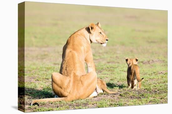 Lioness and cubs, Masai Mara, Kenya, East Africa, Africa-Karen Deakin-Stretched Canvas